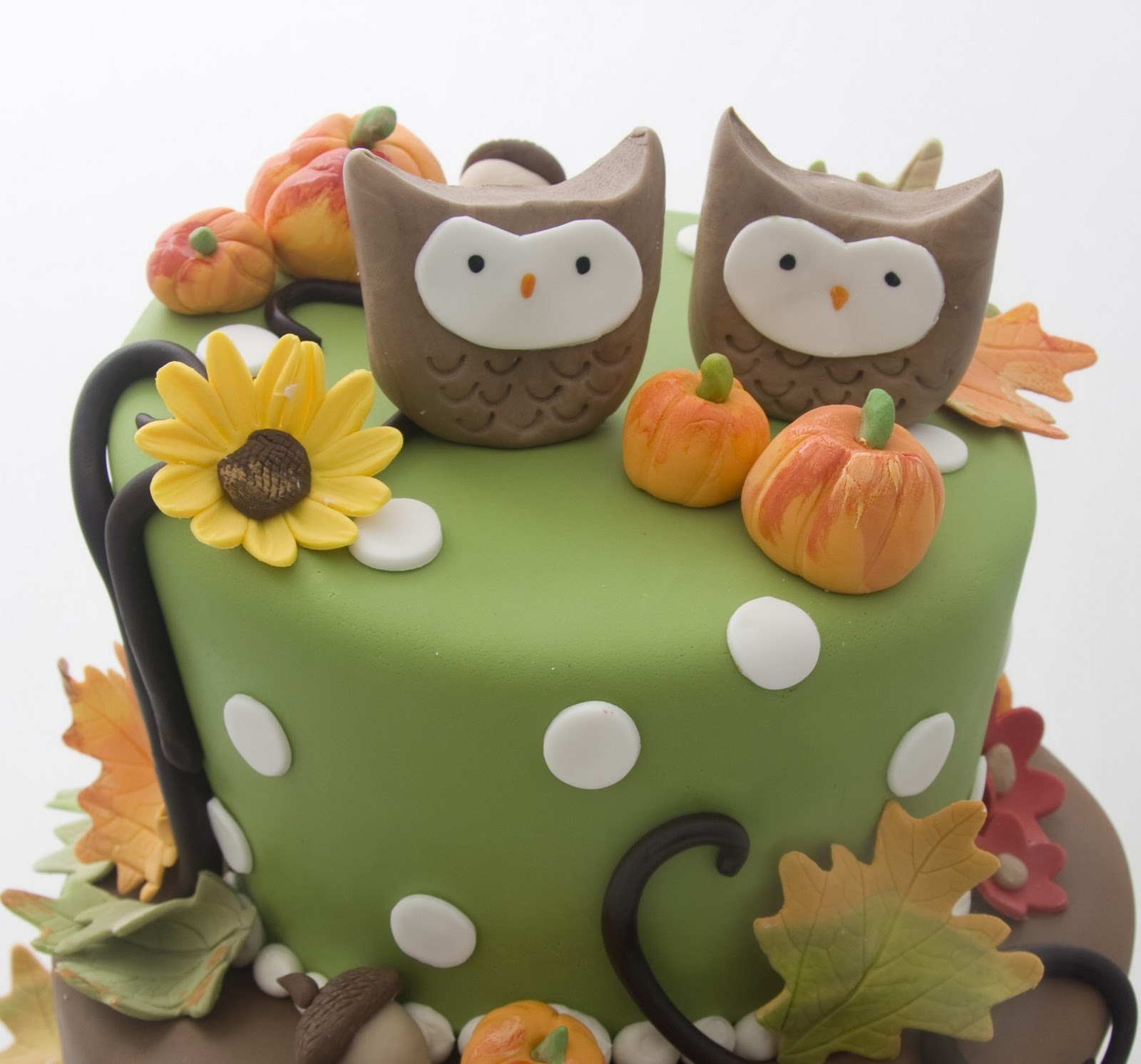 Fall Birthday Cakes
 The Crimson Cake Blog Twin Owl Fall Birthday Cake