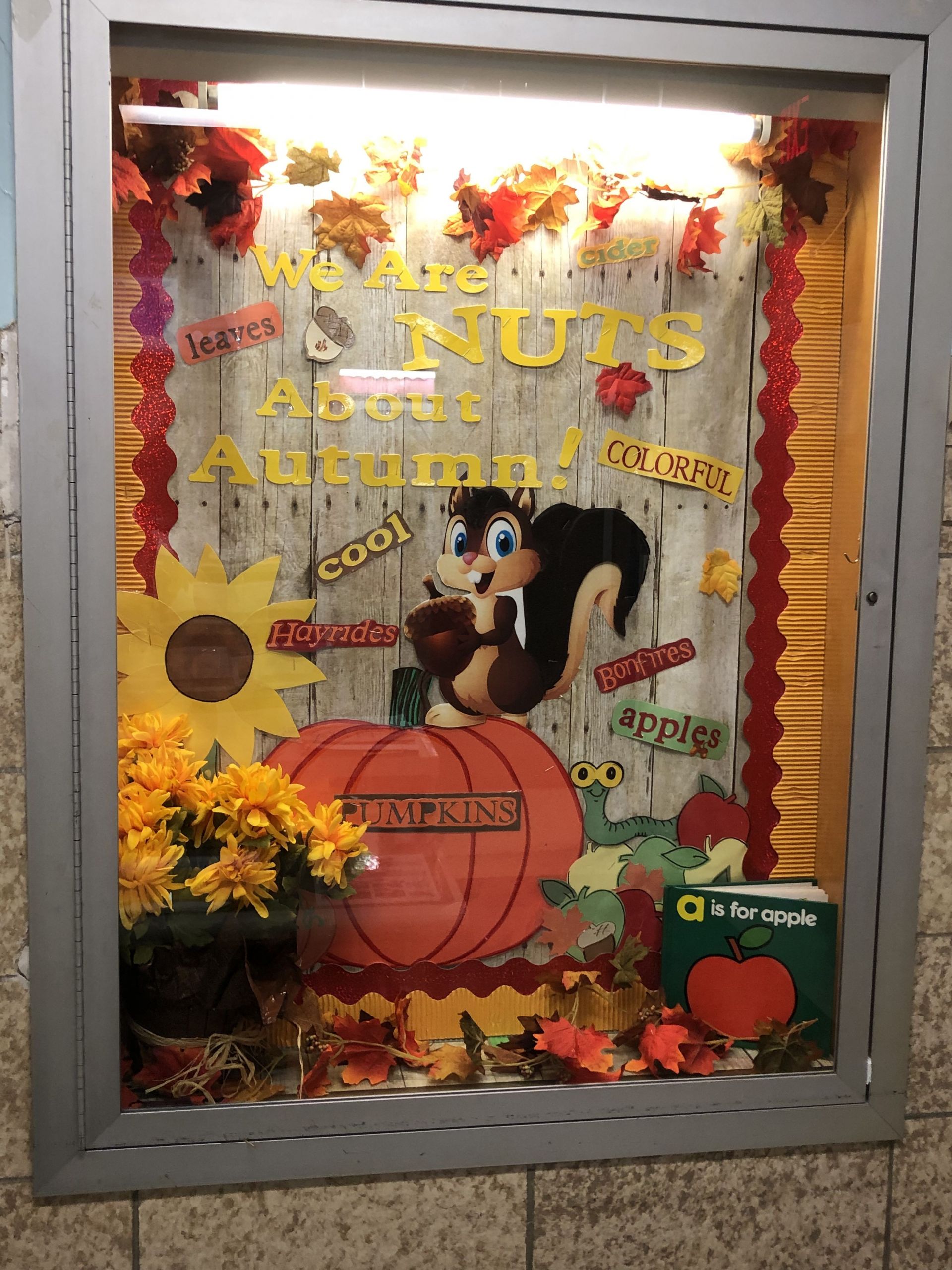 Fall Bulletin Board Ideas Elementary
 We are NUTS about Autumn