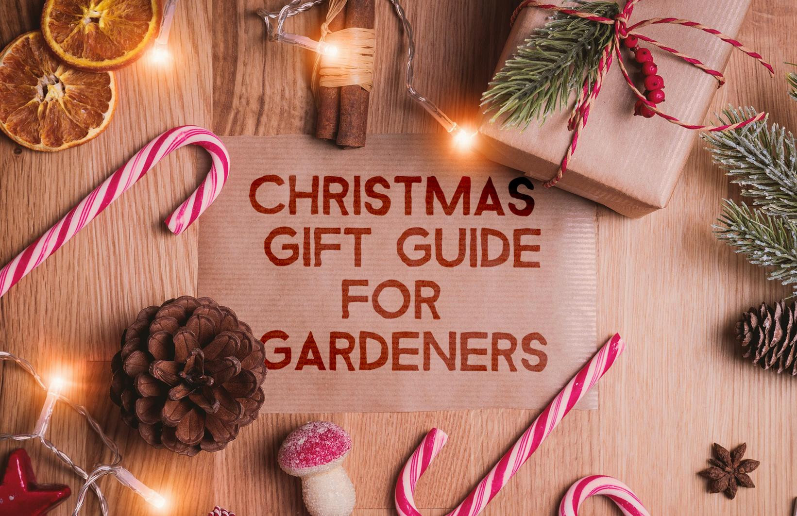Family Christmas Gift Ideas 2020
 Christmas t ideas for gardeners from exhibitors at BBC
