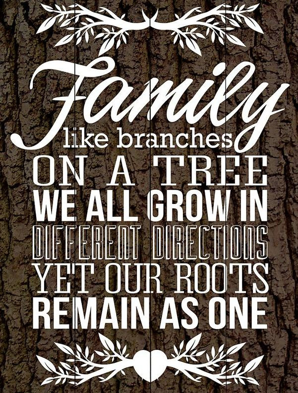 Family Strong Quotes
 Root Family Strong Quotes QuotesGram