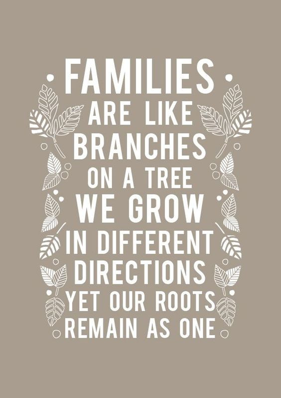 Family Tree Quote
 60 Top Family Quotes And Sayings