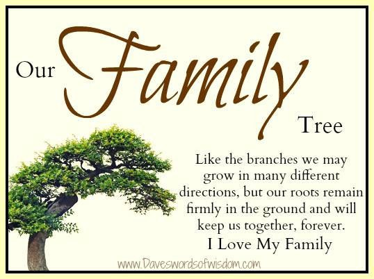 Family Tree Quote
 Family Tree Quotes Poems QuotesGram