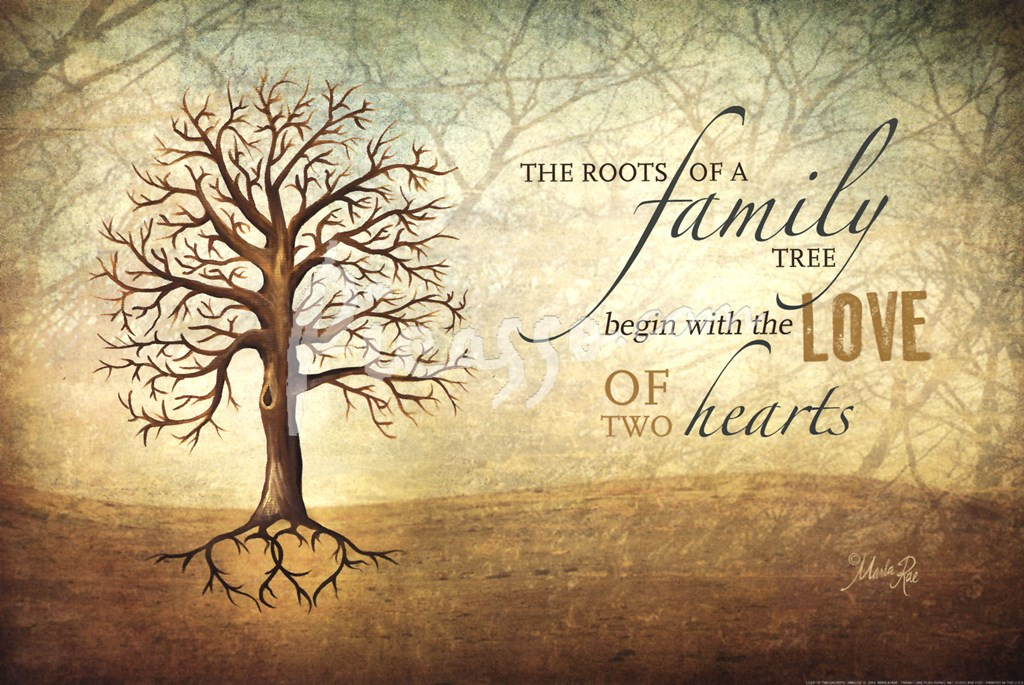 Family Tree Quote
 Quotes about Family trees 47 quotes