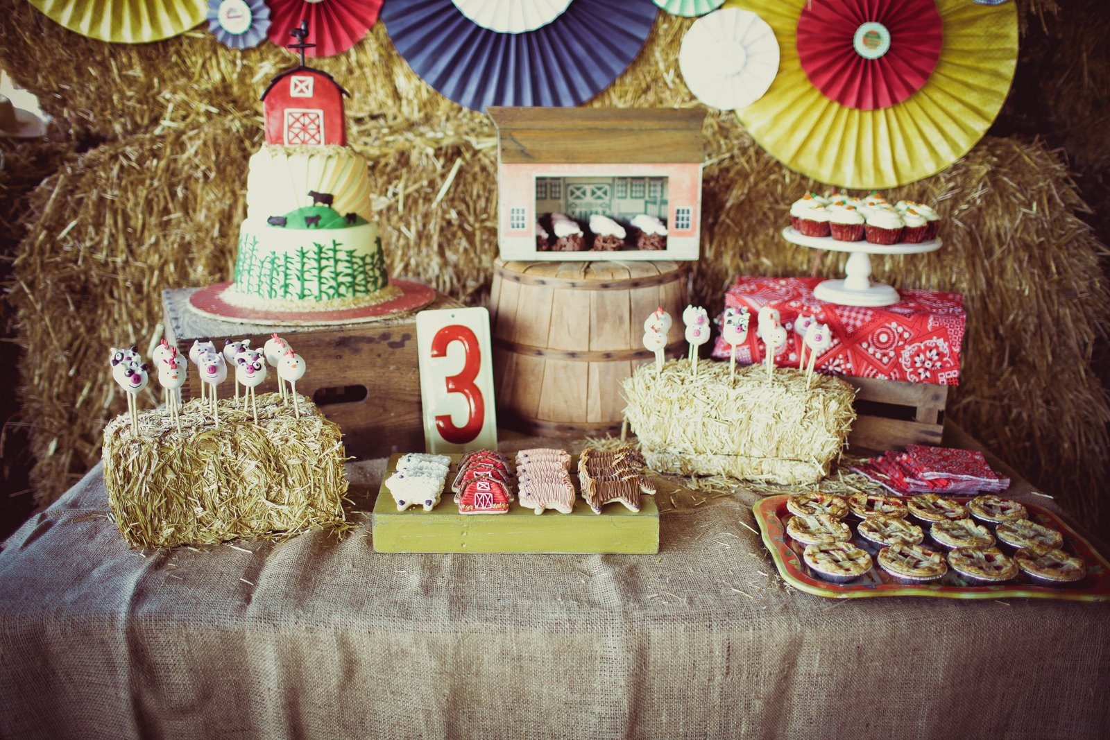 Farm Themed Birthday Party Ideas
 Down on the Farm Hudson turns 3 – Jenny Cookies