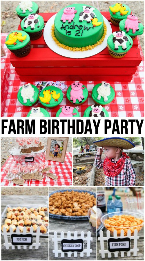 Farm Themed Birthday Party Ideas
 Farm Birthday Party Theme for Toddler Boys