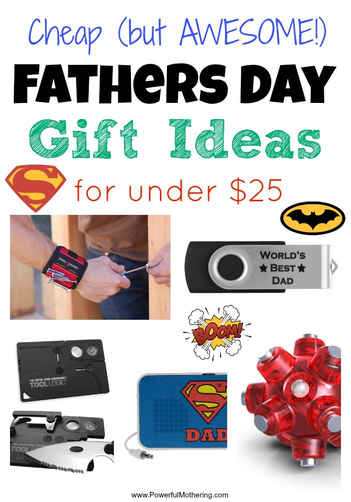 Fathers Day Gifts Ideas
 Cheap Fathers Day Gift Ideas for under $25