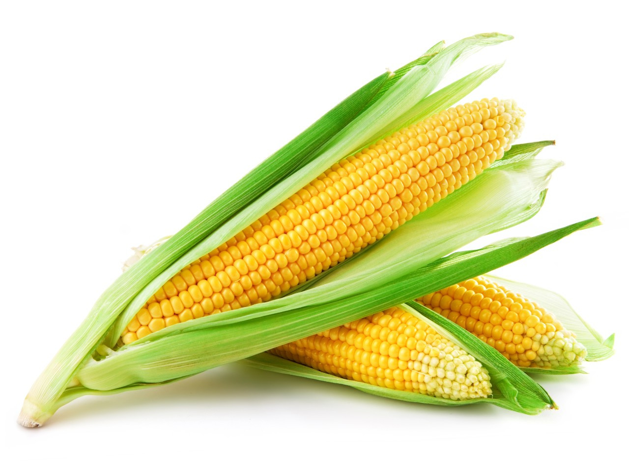 Fiber In Corn
 Soluble Corn Fiber May Improve Girls’ Bone Health