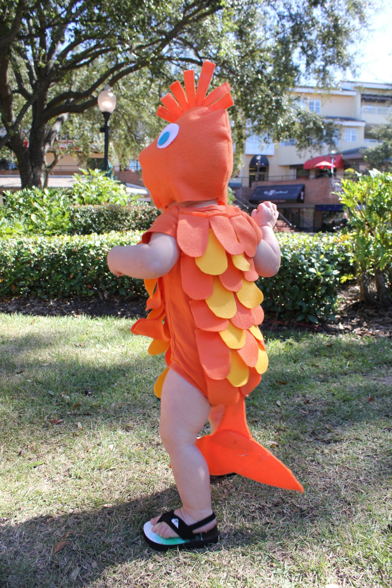 Fish Costume DIY
 DIY Fish Costume For the Family No Sewing
