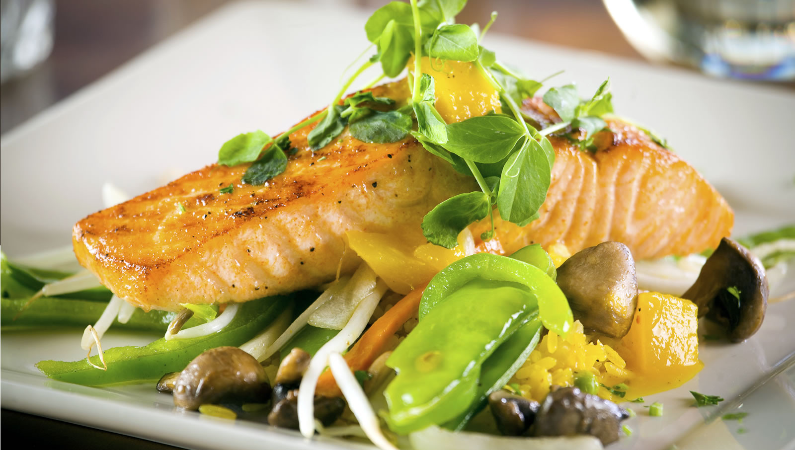 Fish Diet Recipes
 Include Fish in Your Diet and Enjoy These Health Perks