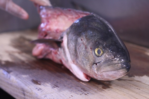 Fish Head Stew
 Diary of a Locavore JAMAICAN FISH HEAD STEW the local