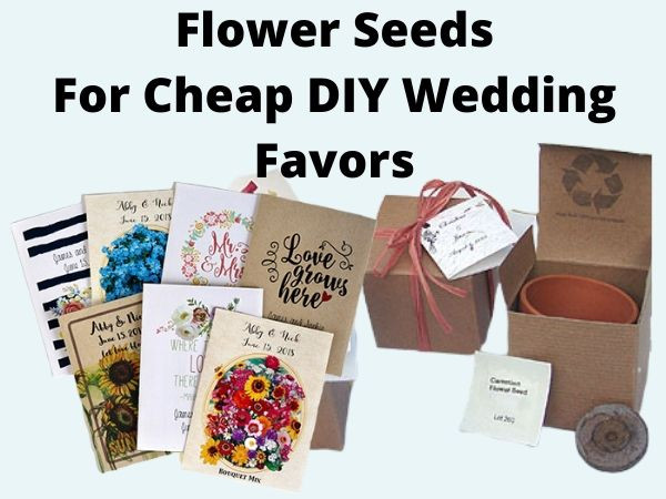 Flower Seed Wedding Favors DIY
 Flower Seeds For Cheap DIY Wedding Favors