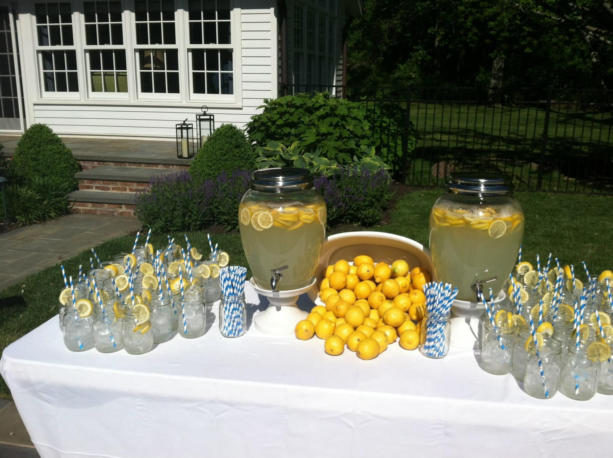 Food Ideas For High School Graduation Party
 Lemon aid stand