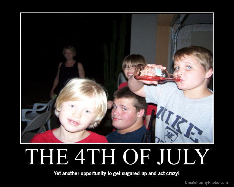 Fourth Of July Quotes Funny
 4th July Funny Quotes QuotesGram