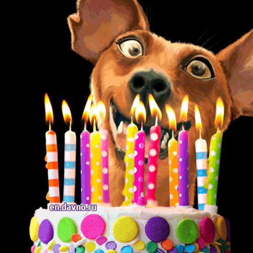 Free Animated Funny Birthday Cards
 My Homepage Powered By Course Systems For Education