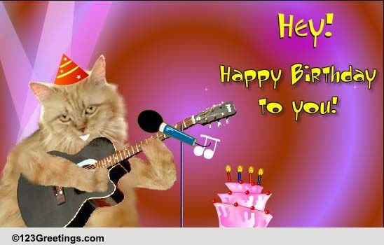 Free Birthday Singing Cards
 Singing Birthday Cat Free Songs eCards Greeting Cards
