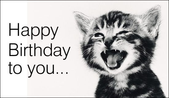 Free Birthday Singing Cards
 Happy Birthday to you singing cat