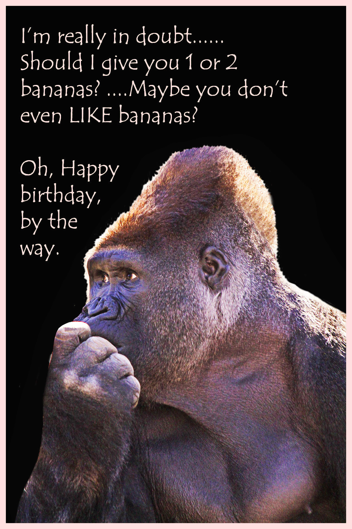 Free Funny Birthday Card
 Funny Printable Birthday Cards