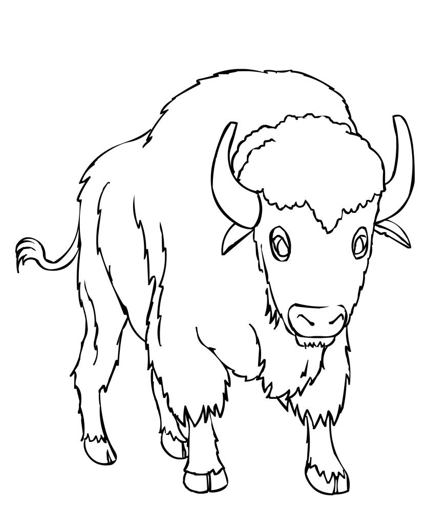 Free Online Coloring Pages For Kids
 Free Printable Bison Coloring Pages For Kids