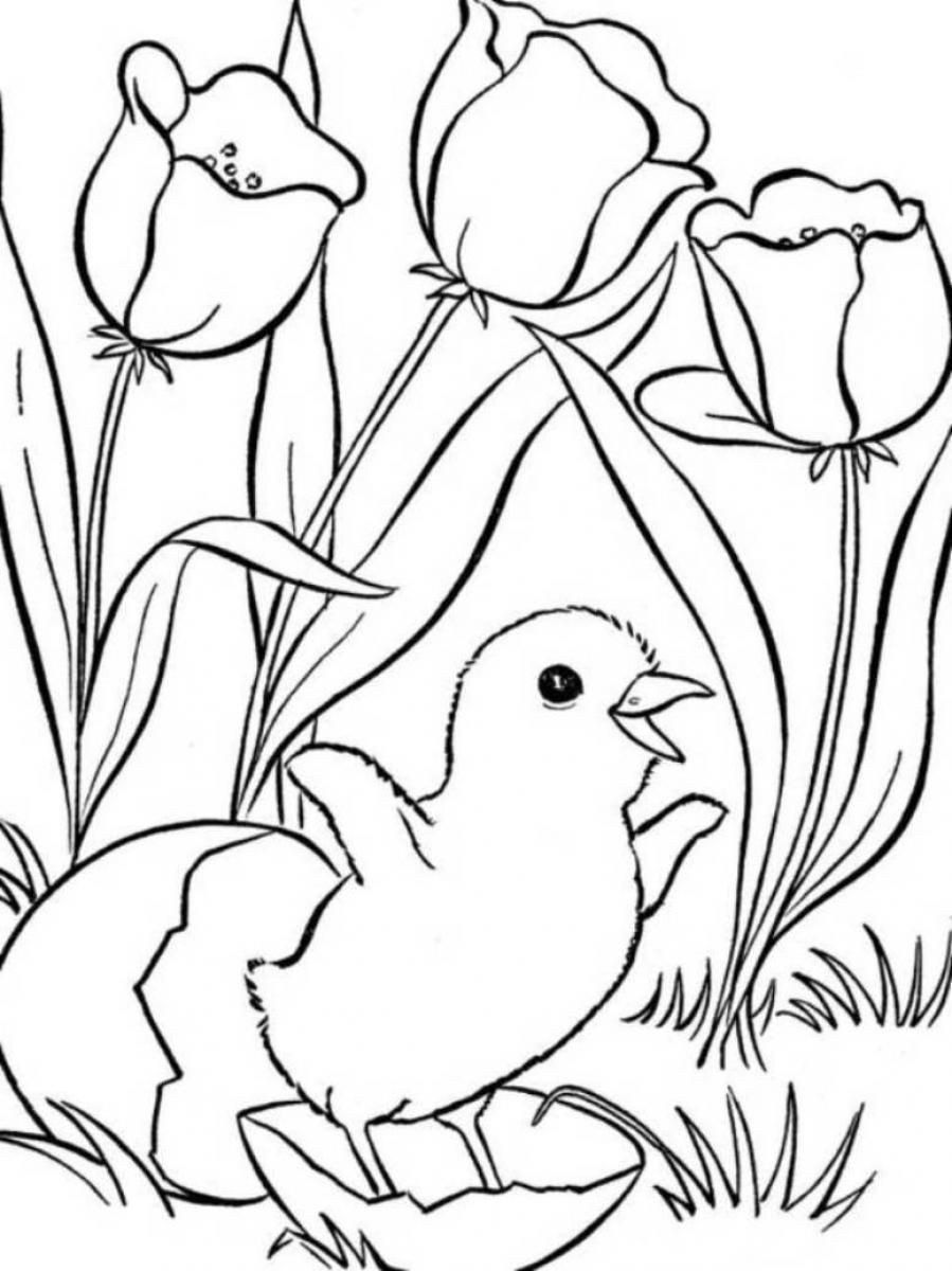 Free Printable Spring Coloring Pages
 Spring Landscape Coloring Pages Coloring Home