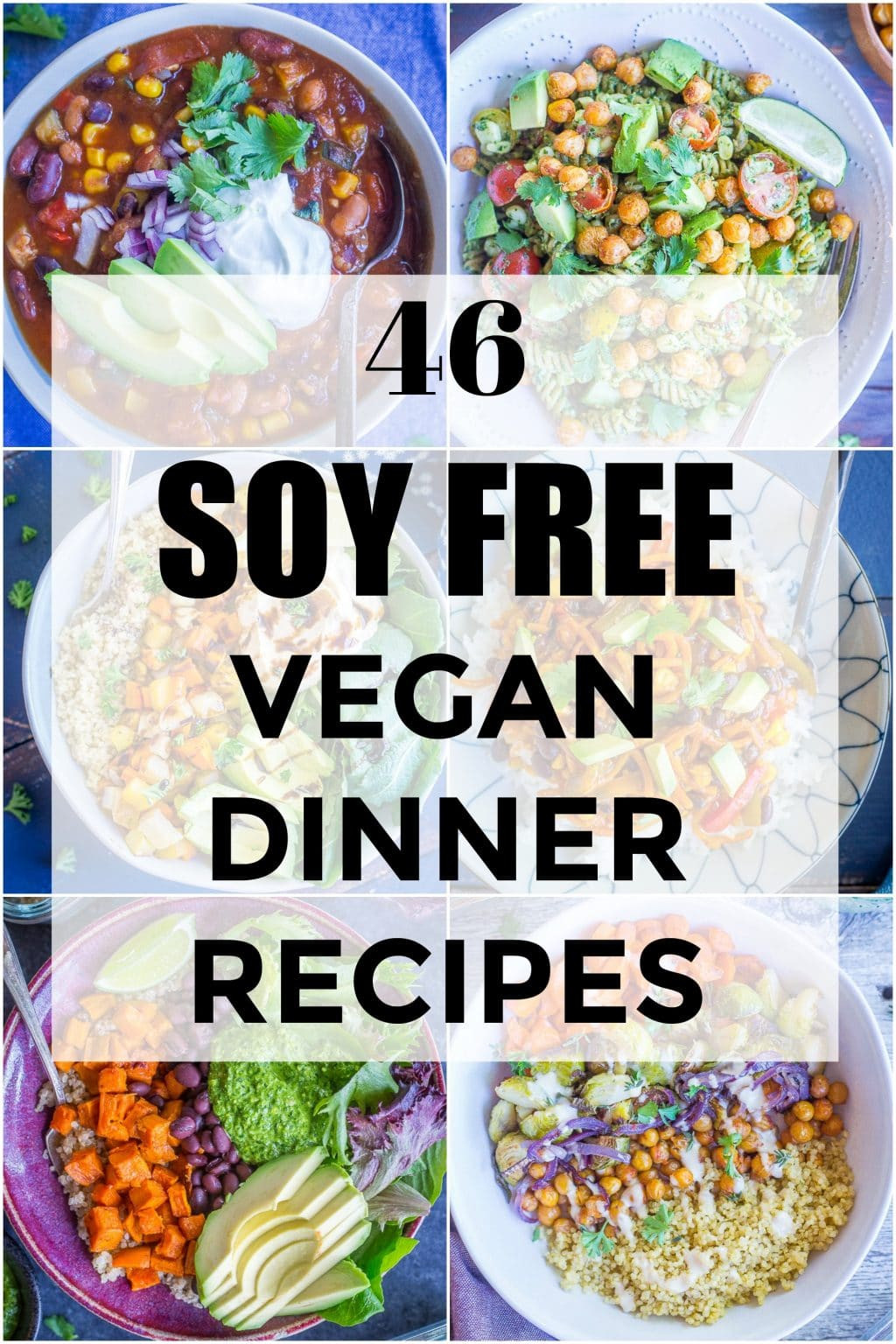 Free Vegan Recipes
 46 Soy Free Vegan Dinner Recipes She Likes Food