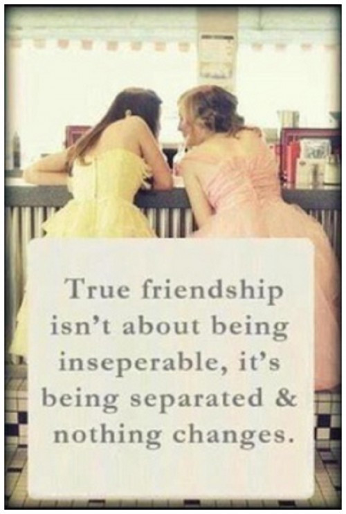 Friendship Meme Quotes
 National Best Friends Day Memes and Quotes
