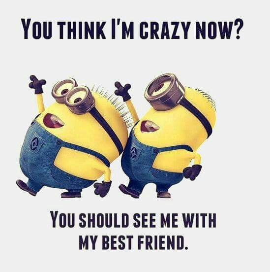 Friendship Meme Quotes
 Top 30 Famous Minion Friendship Quotes – Quotes and Humor