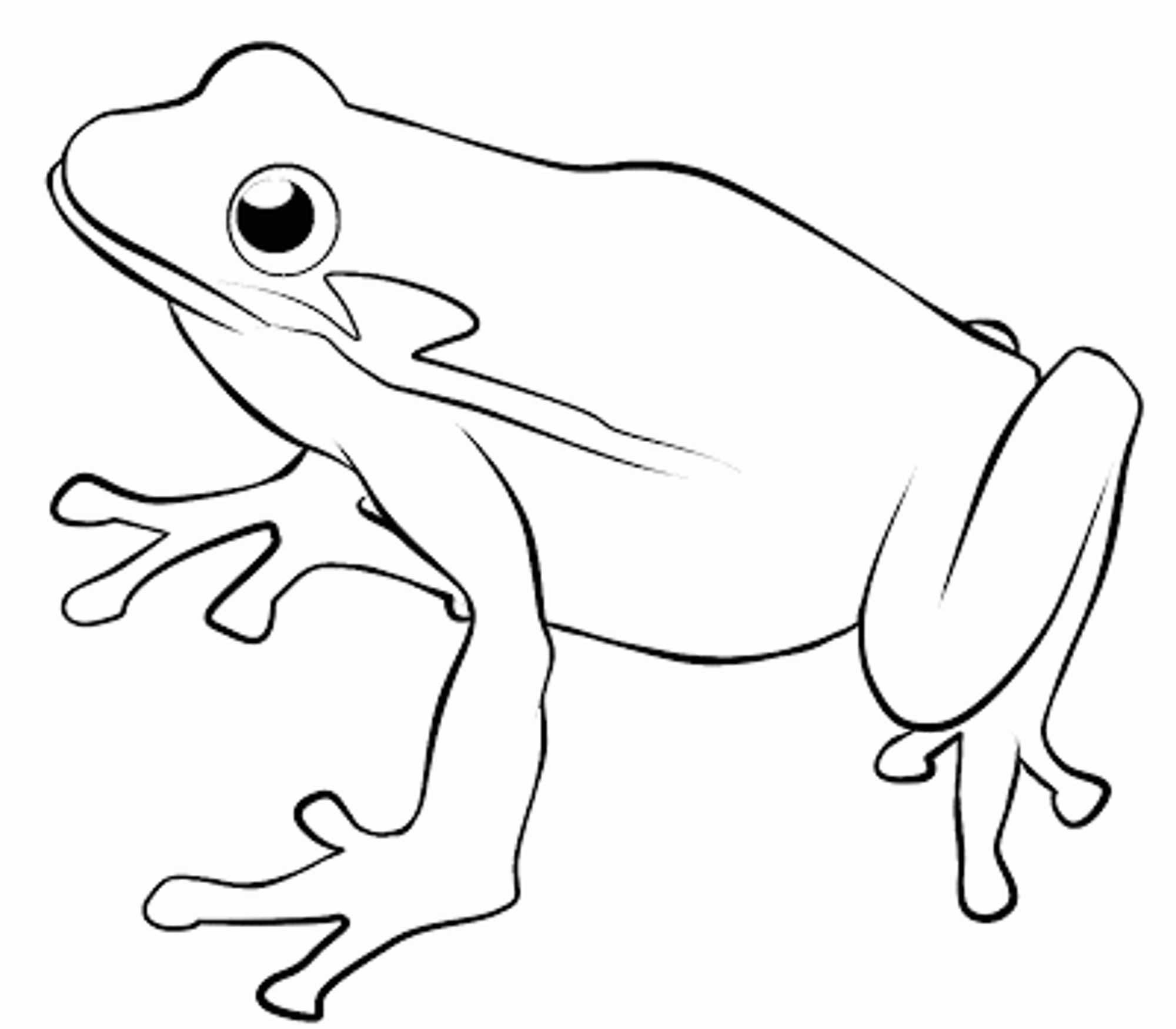 Frog Coloring Pages For Kids
 Print & Download Frog Coloring Pages Theme for Kids