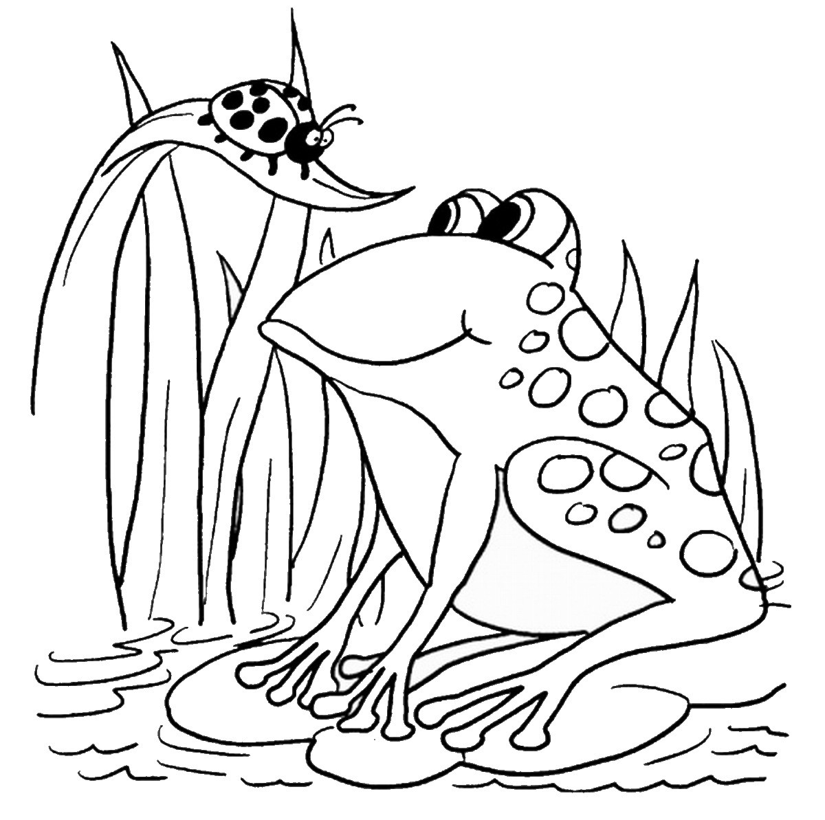 Frog Coloring Pages For Kids
 Frog Coloring Pages