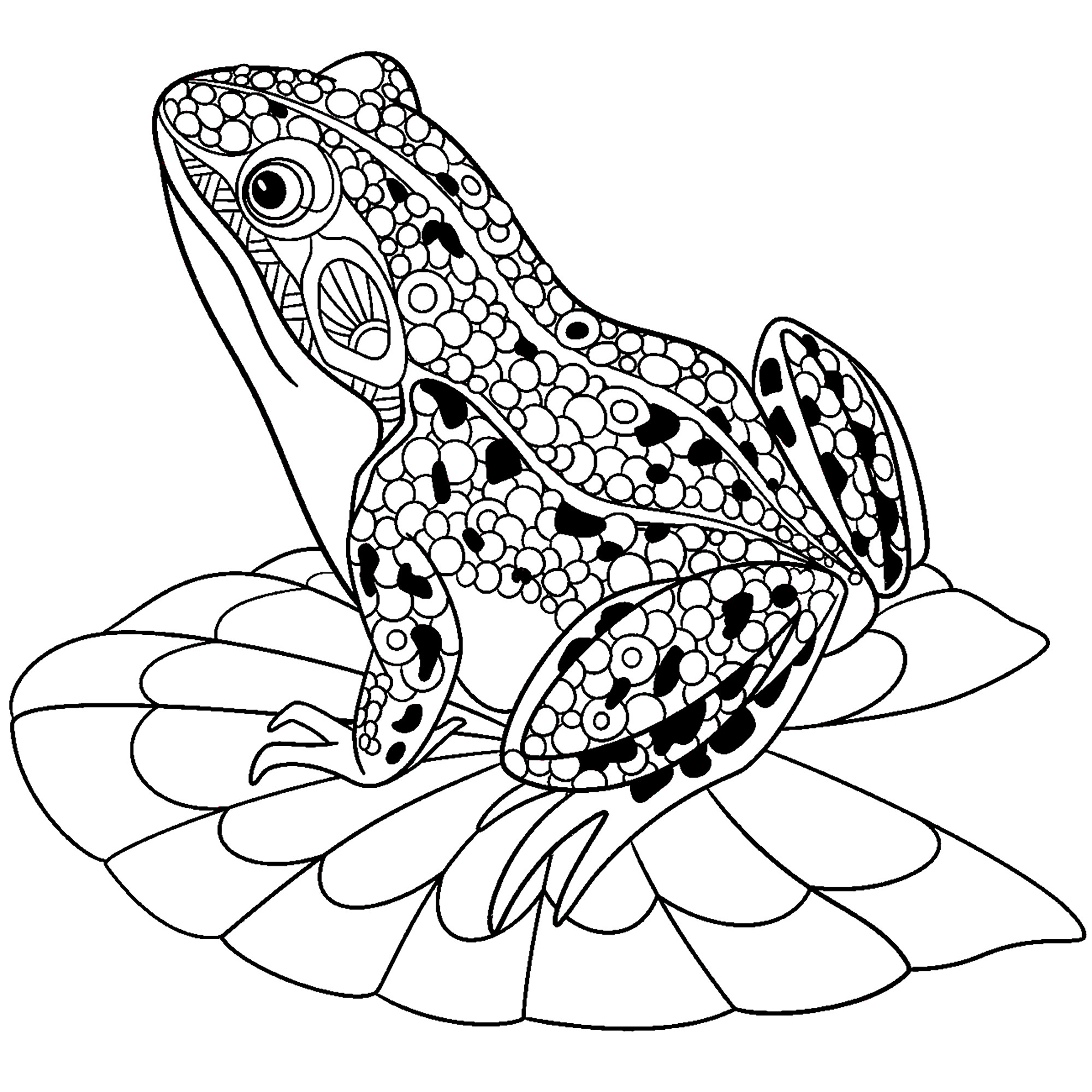 Frog Coloring Pages For Kids
 Frogs free to color for children Frogs Kids Coloring Pages