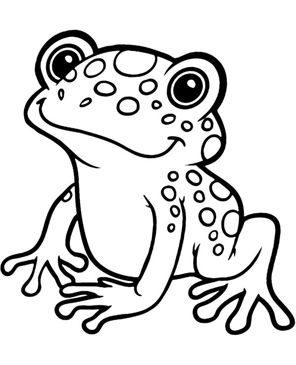 Frog Coloring Pages For Kids
 Exotic frog coloring page to print or for fkids