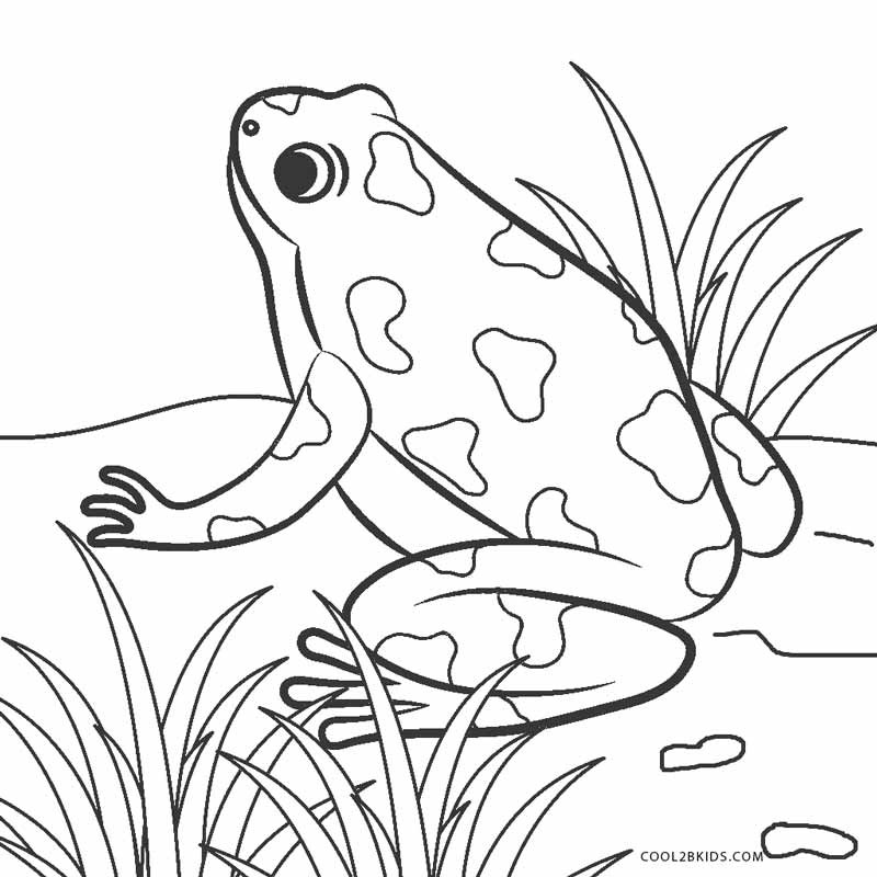 Frog Coloring Pages For Kids
 Free Printable Frog Coloring Pages For Kids