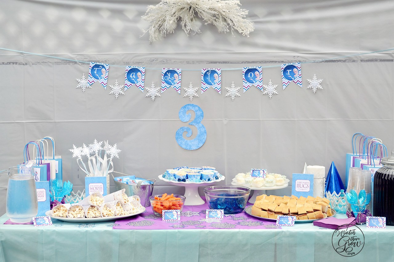 Frozen Birthday Decorations DIY
 How To Throw a Fabulous and Frugal DIY Frozen Birthday Party