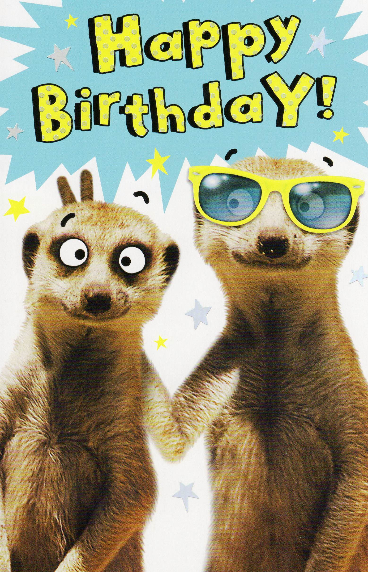 Fun Birthday Cards
 Funny Meerkat Happy Birthday Card Humour Greeting Cards