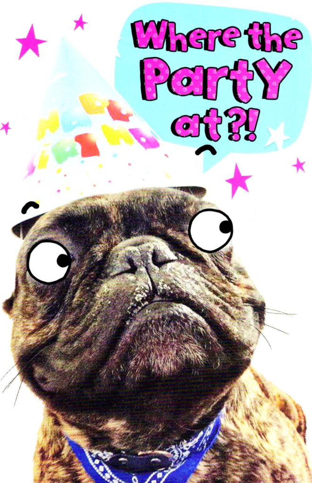 Fun Birthday Cards
 Funny Where s The Party Birthday Card Cards