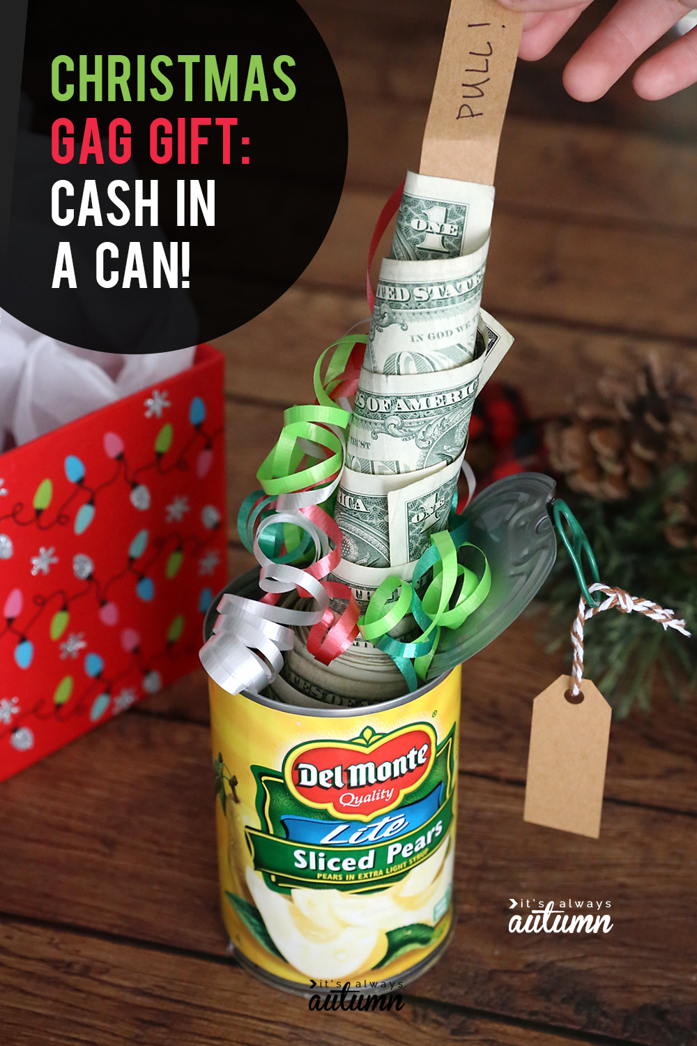 Fun Christmas Gift Ideas
 Funny Christmas money t idea Cash in a can It s