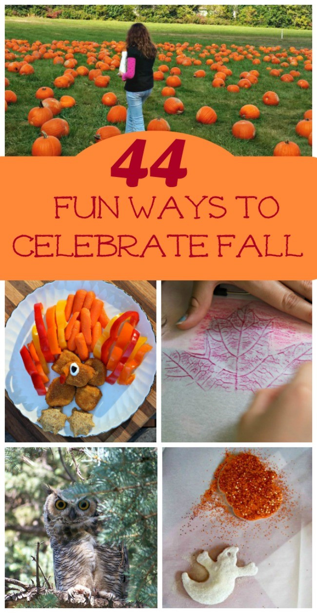 Fun Fall Crafts
 44 Fun Things to do this Fall Edventures with Kids