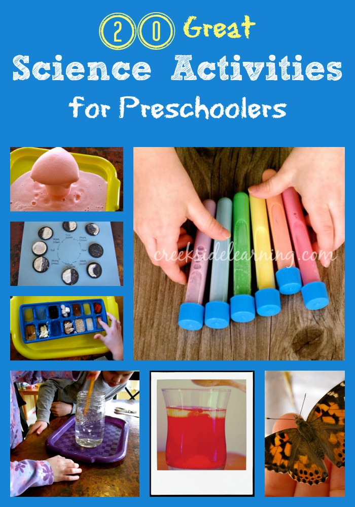 Fun Projects For Preschoolers
 20 Great Science Activities for Preschoolers