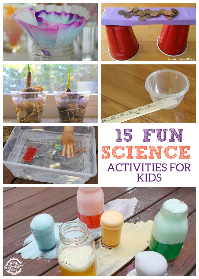 Fun Projects For Toddlers
 15 FUN SCIENCE ACTIVITIES FOR KIDS Kids Activities