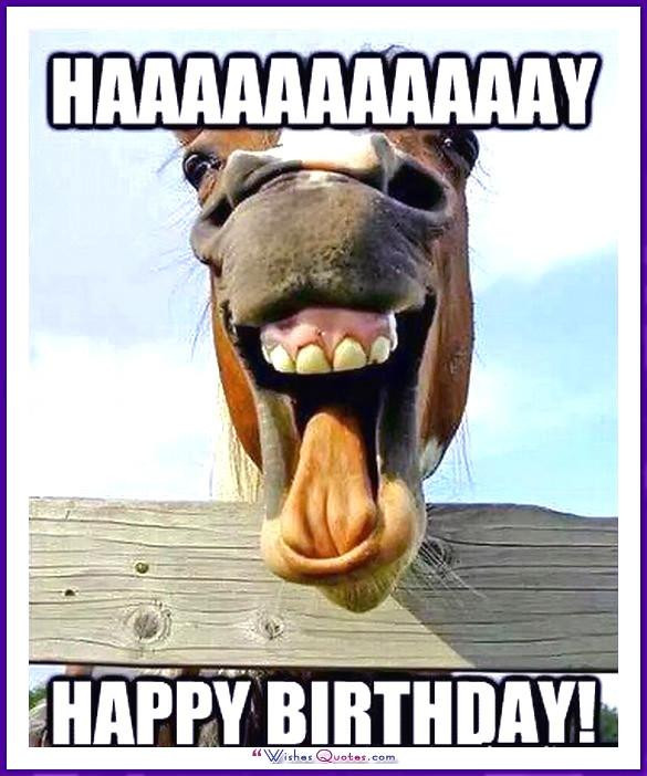 best-21-funny-animal-birthday-cards-home-family-style-and-art-ideas