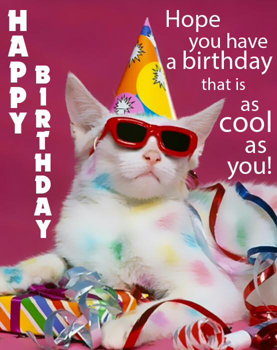 Funny Animated Birthday Cards
 Happy Birthday Funny Birthday eCards and Gifs
