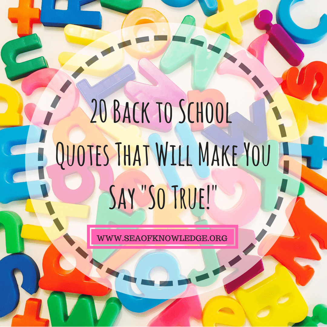 Funny Back To School Quotes
 Back to School Funny Quotes That Make Will Make You Say