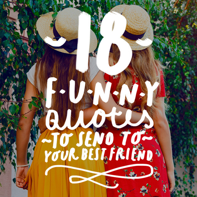 Funny Bestfriend Quotes
 18 Funny Quotes to Send to Your Best Friend Bright Drops
