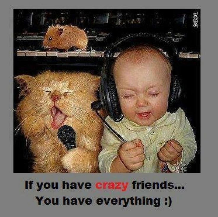 Funny Bestfriend Quotes
 20 Best and Funny Friendship Quotes