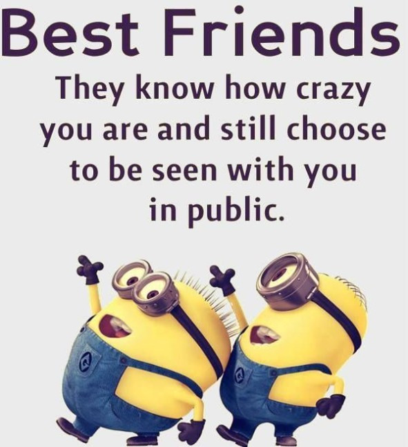 Funny Bestfriend Quotes
 Top 40 Very Funny Friendship Quotes – Quotations and Quotes