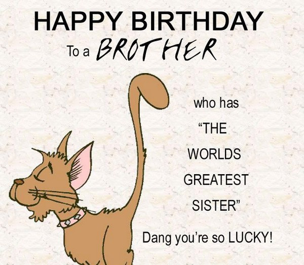 Funny Birthday Card For Brother
 200 Best Birthday Wishes For Brother 2020 My Happy