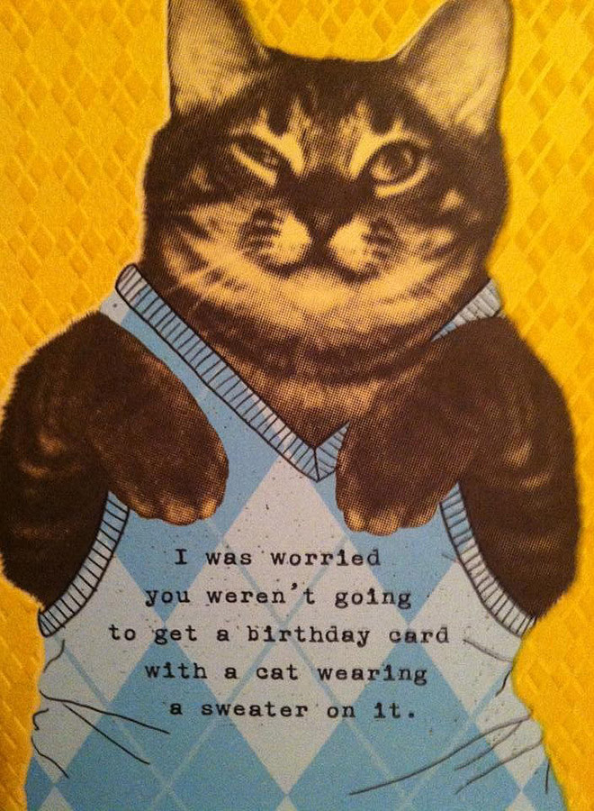 Funny Birthday Card Pictures
 20 Funny Birthday Cards That Are Perfect For Friends Who