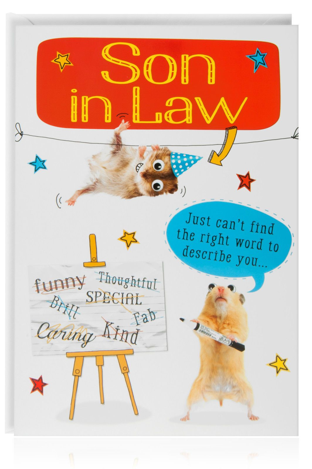 Funny Birthday Cards For Son
 SON IN LAW Birthday Funny Humour Joke Card Greetings