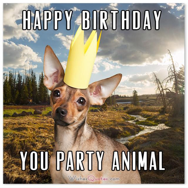 Funny Birthday Party Pictures
 The Funniest and most Hilarious Birthday Messages and Cards