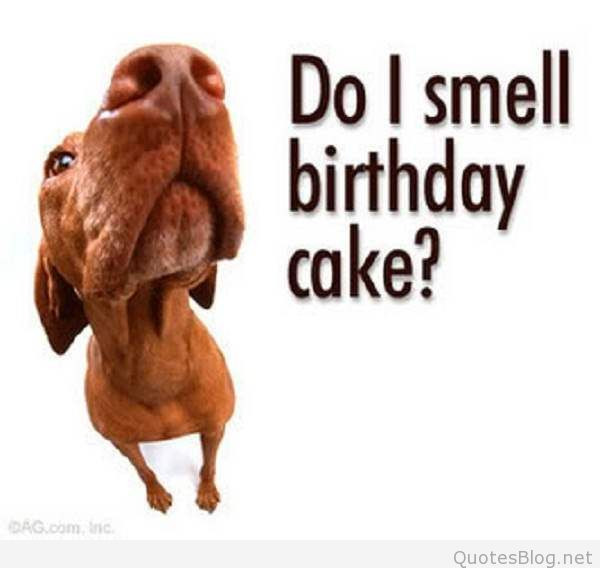 Funny Birthday Pictures And Quotes
 funny birthday sayings