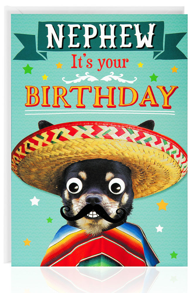 Funny Birthday Wishes For Nephew
 NEPHEW Birthday Card Funny Humour Animal Dog Greetings